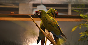 DSC_8971.jpg DSC_8971.jpg