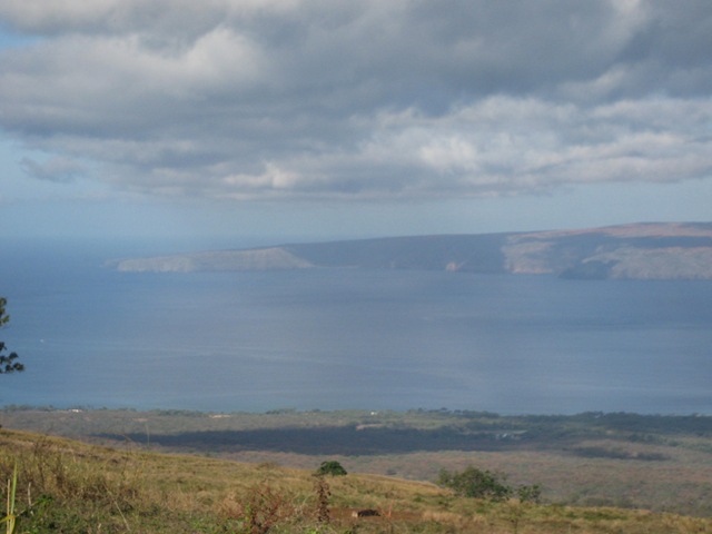 [IMG_2614%255B3%255D.jpg]