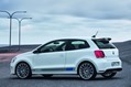 VW-Polo-R-WRC-15
