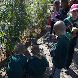 Cub Pack Holiday - Skreens Park 2012 - DSC_0199.jpg