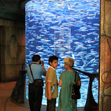 IMG_4710.JPG