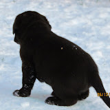 IMG_1965.JPG