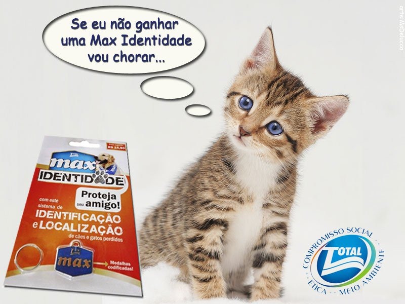 [279821_1846258927564_1573389502_31590787_3429712_o%255B4%255D.jpg]