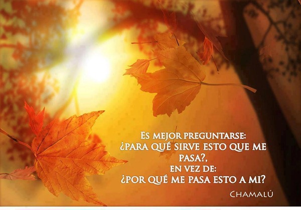 facebook (5) facebook (5)