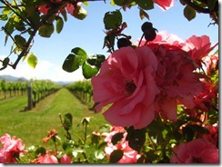IMG_5400 IMG_5400