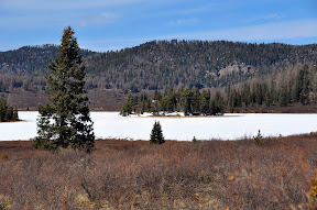 _DSC4834.JPG