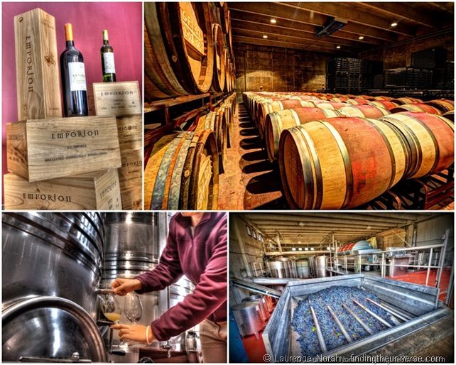Wine creation collage barrels vat ferment[1]