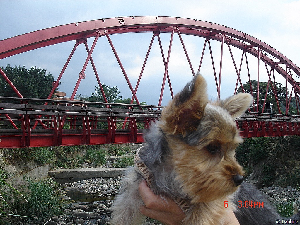 [DSC08805%255B6%255D.jpg]