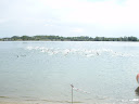P8230582.JPG