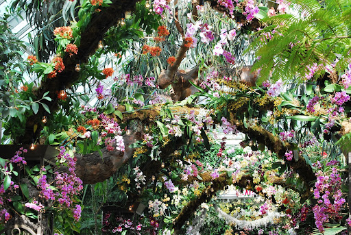 A view of the orchid-covered arches.