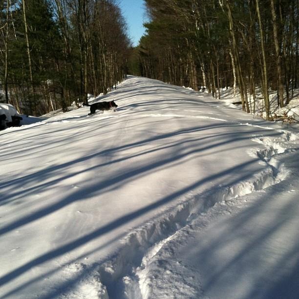 [Jack%2520Snow%255B2%255D.jpg]