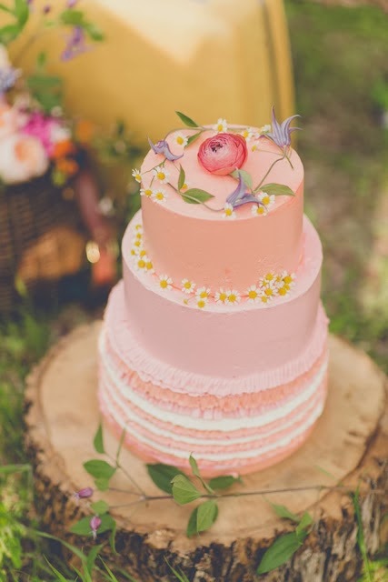 [cake-moonrise-kingdom-wedding-024-nb.jpg]