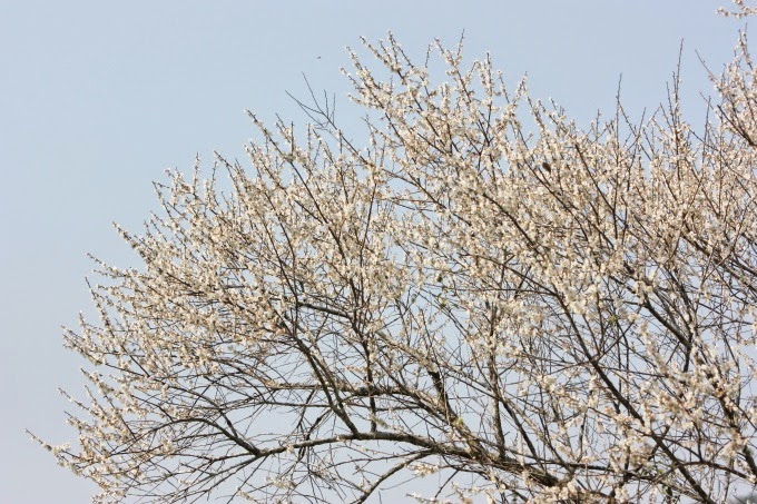 2014_0105_113615 2014_0105_113615