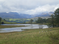 IMGP3466.JPG