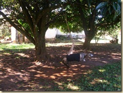 IMG_0202 IMG_0202
