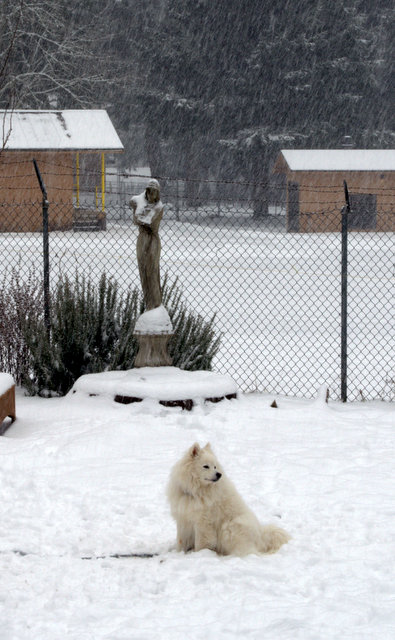 [16-DSC_0039%255B1%255D.png]