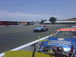 IMG00146-20100618-1251.jpg