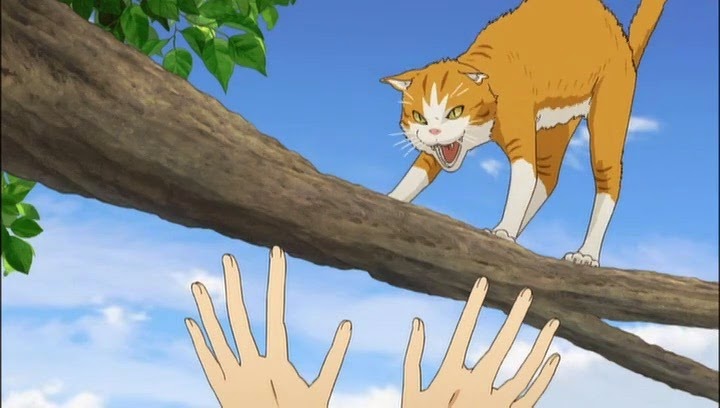 [Haikyuu%2520-%2520OVA%2520-16%255B2%255D.jpg]