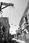 IMG_5063.JPG