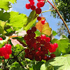 dsc01401.jpg dsc01401.jpg