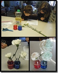 Science 1 - Thirsty Plants