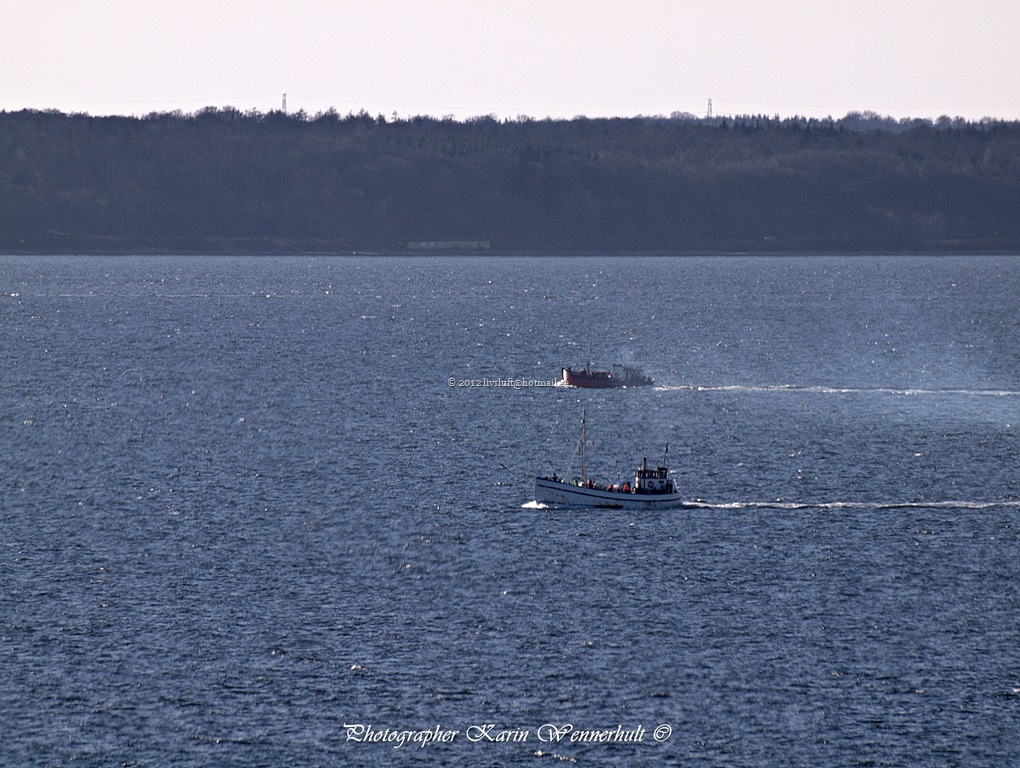 [P1012516RC10.jpg]