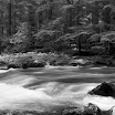 Dungeness River B&W