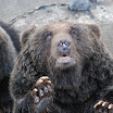 hokkaido_580.jpg
