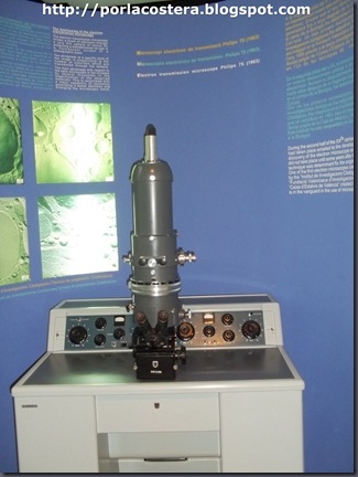 microscopio electronico