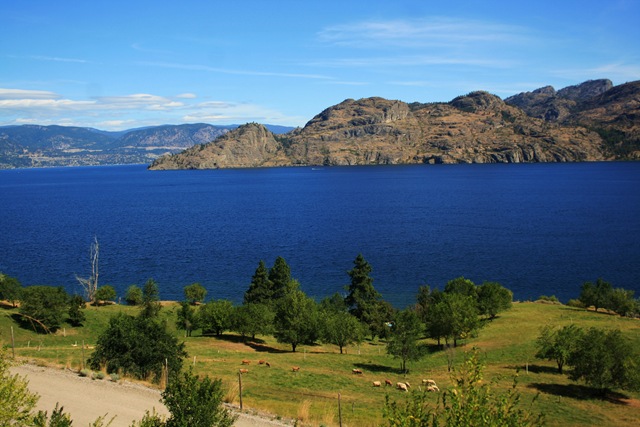 View from above Okanagan Lake Provincial Park