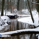 DSCF5580.jpg