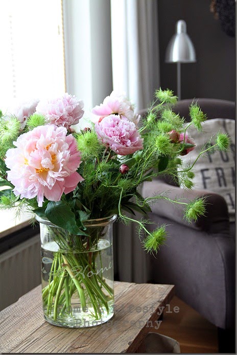Home & Lifestyle Home & Lifestyle