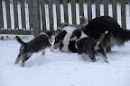 _DSC0053.JPG