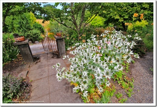 140711-JoyCreekNursery_027