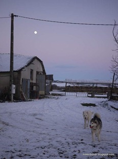 twilight play