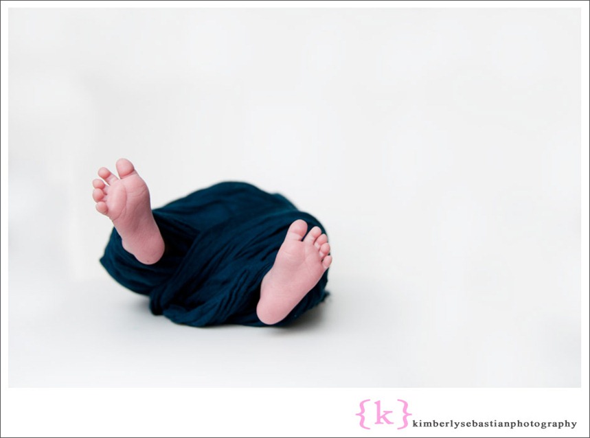 [DSC_0113-Edit3.jpg]