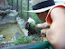 National Zoo in August
