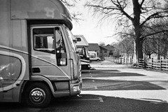 Horses-at-Riseholme-6