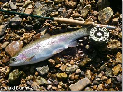 20120421_Trout Edited_01