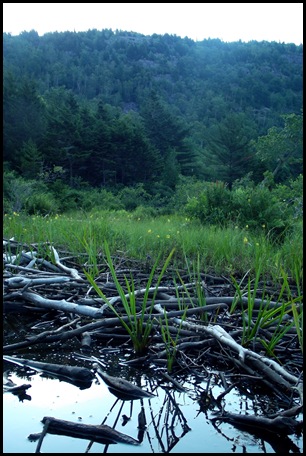 On Jordan Pond 083