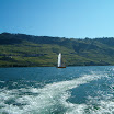 cully 2 010.jpg