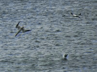 IMG_0178 IMG_0178