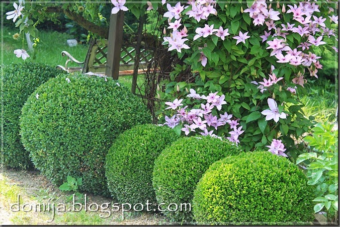 IMG_7092 na blog IMG_7092 na blog