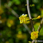 IMG_4717.jpg