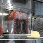 IMG_9790.JPG