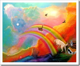 RainbowBridge-cats-dogs