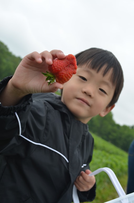 [DSC_12496.jpg]