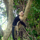 Costa Rica