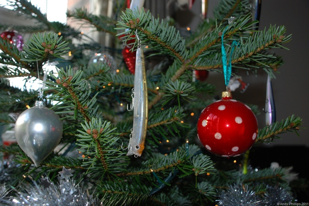 [DSC_0006%2520-%2520Copy%255B10%255D.jpg]