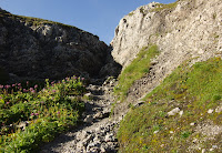 CIMG3310.JPG Photo